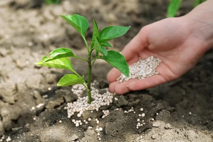 Conventional Fertilizers