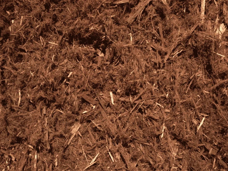 Gorilla Hair Mulch