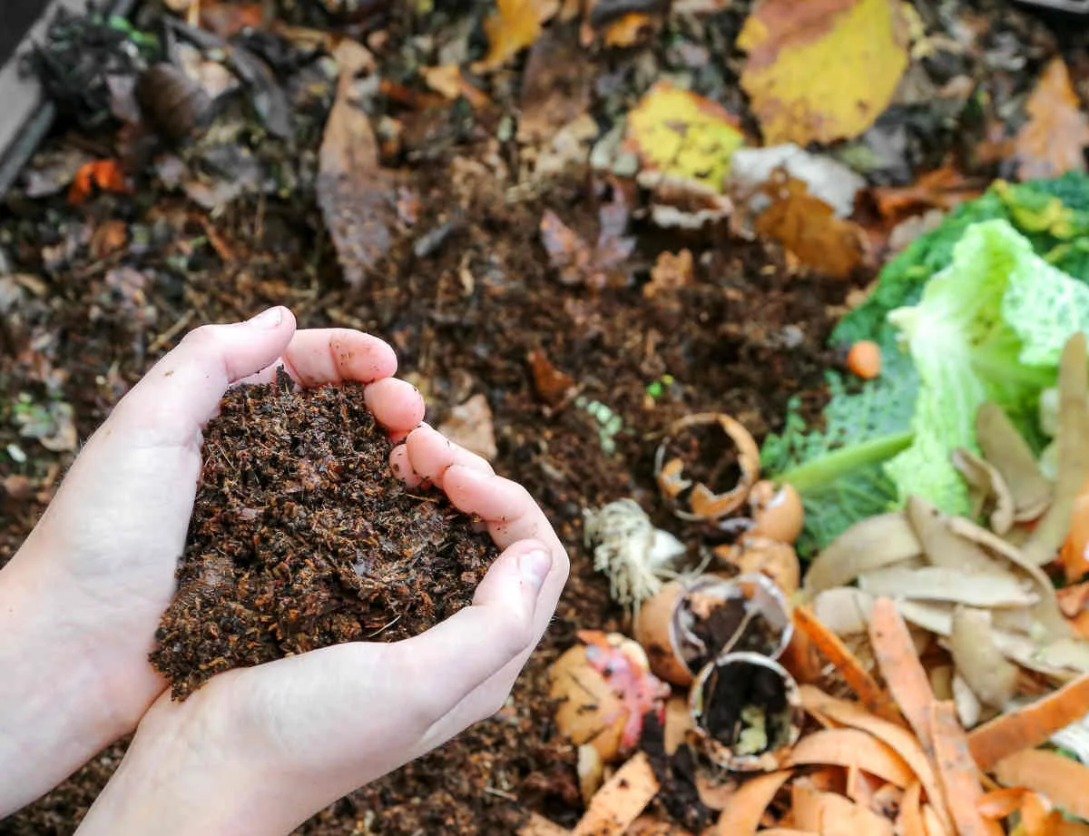 Organic Soils & Fertilizers
