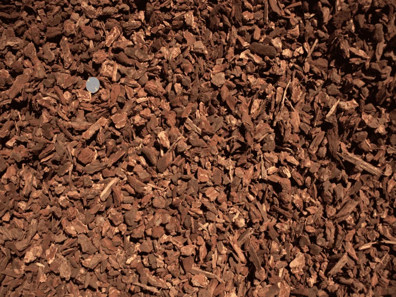 Pathway Bark