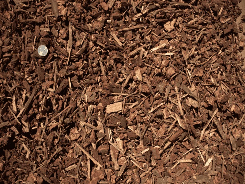 Walk-On Bark